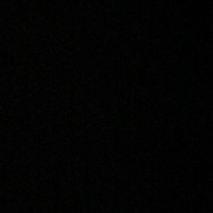 Meet your Posher, Annabelle